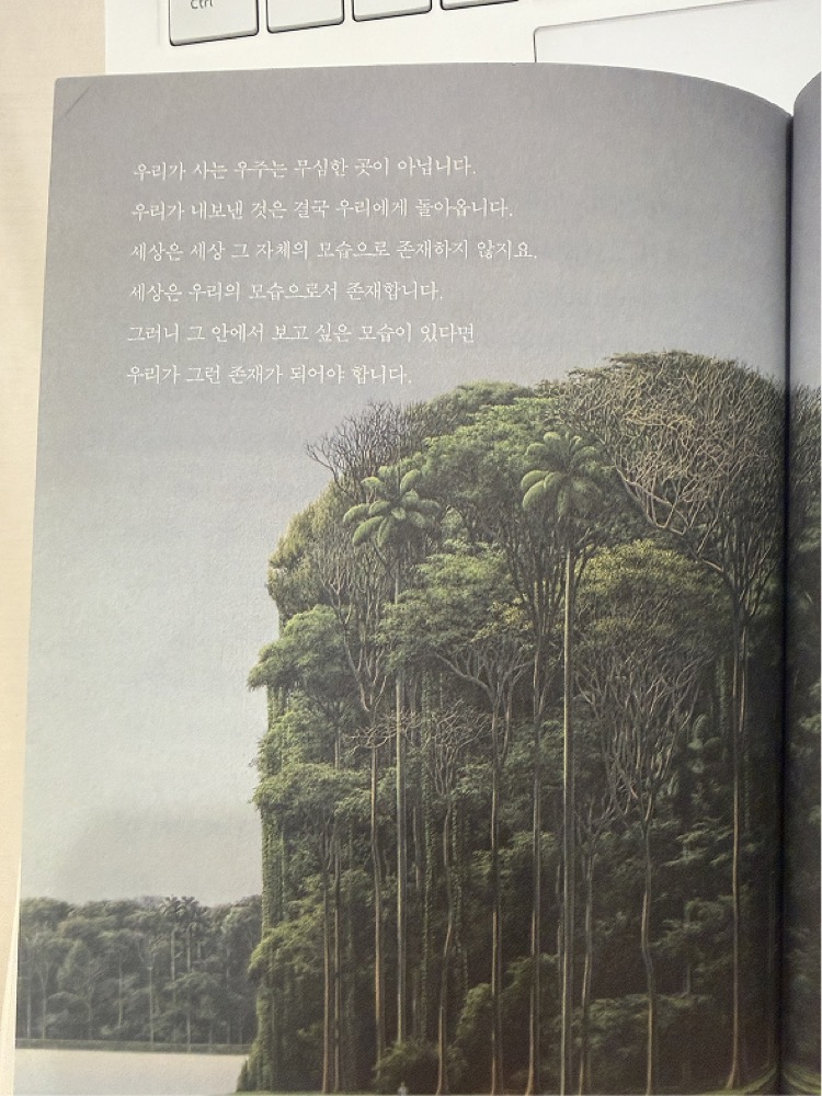 내가 틀릴 수도 있습니다 본문, 우리가 내보낸 것은 결국 우리에게 돌아온다는 문장이 실린 숲 사진 페이지